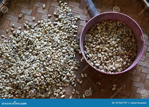 Green Coffee Beans Ready for Roasting Stock Image - Image of beverage, espresso: 107267797