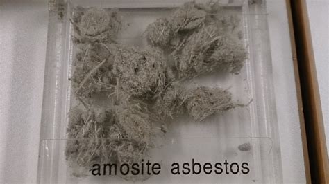 Amosite Asbestos (extremely dangerous) - Surety Property