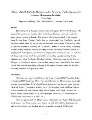 Spies - Influence of phorid fly (Family Phoridae) sound on the behavior of leaf-cutting ants ...