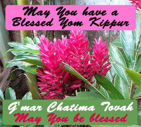 Yom Kippur Blessing, Pink Flowers. Free Yom Kippur eCards | 123 Greetings