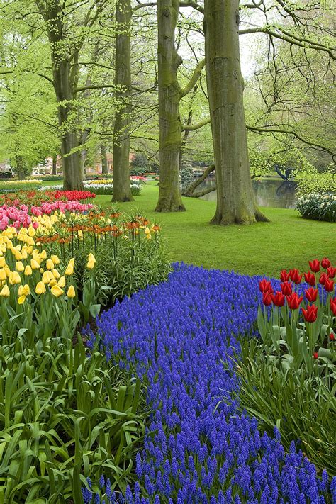 Keukenhof Gardens - Jim Zuckerman photography & photo tours