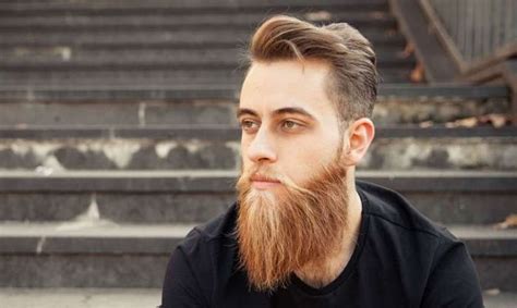 Top 35 Beard Color Ideas & Trends for 2024 – HairstyleCamp