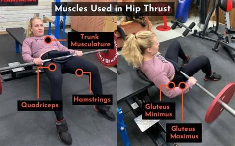 Don't Feel Your Glutes Hip Thrusting? Try These 9 Tips | PowerliftingTechnique.com