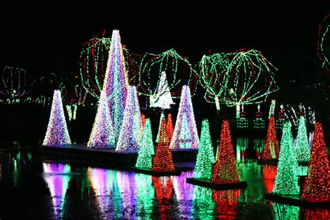 Wildlights at the Columbus Zoo - Sharing Horizons