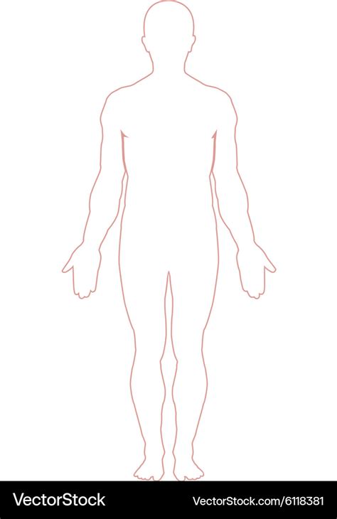 Male Body Outline Drawing