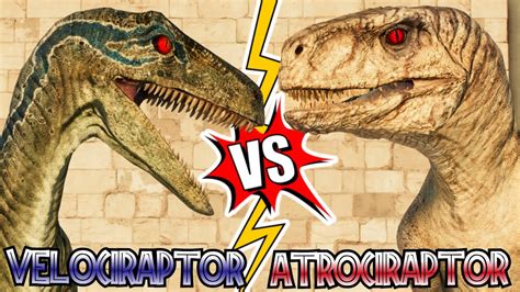 Velociraptor vs Atrociraptor COMPARISON - Are there any differences or ...