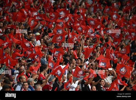 LILLE - LOSC Lille supporters during the French Ligue 1 match between ...