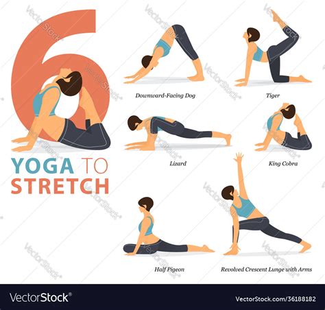 6 yoga poses for body stretching concept Vector Image