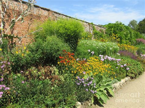 A Beautiful Herbaceous Border Photograph by Lesley Evered - Fine Art America