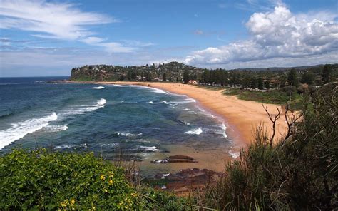 Newport Beach / New South Wales / Australia // World Beach Guide