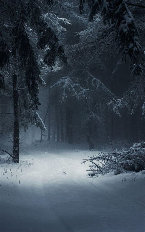 Dark Snowy Forest Wallpapers - Top Free Dark Snowy Forest Backgrounds ...