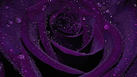Aesthetic Dark Purple Wallpapers - Wallpaper Cave