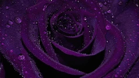 Aesthetic Dark Purple Wallpapers - Wallpaper Cave