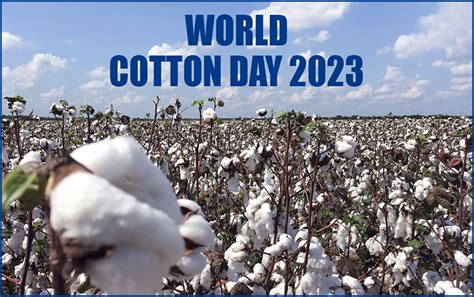 Ministry of Textiles celebrates ‘World Cotton Day’ 2023 – Screen Print India Magazine