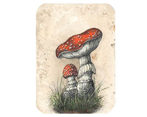 Alice in wonderland Mushroom wall art Mushroom original | Etsy