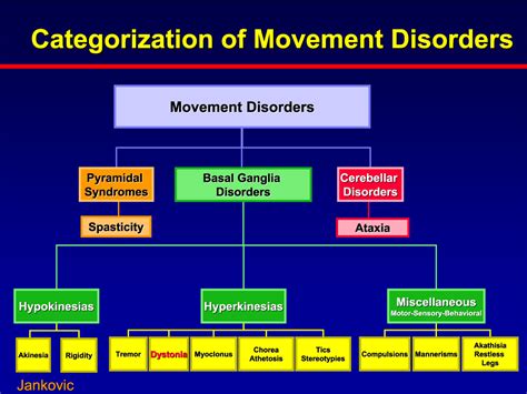 My Name Spelled Backwards is....: Types of Movement Disorders and Parkinson Disease