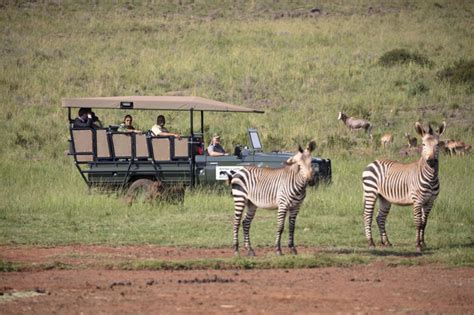 Game Drives - Bothongo Rhino & Lion Nature Reserve