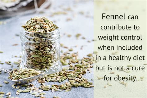 The Health Benefits of Fennel Seeds - eMediHealth