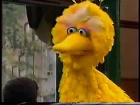 Carlosesamestreet mp4 3gp flv mp3 video indir