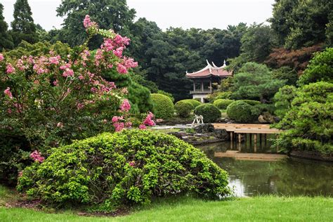 Shinjuku Gyoen National Garden, Isetan, and Harajuku - Not Bored NY