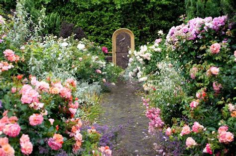 Roses and Modern Art at Borde Hill Garden | A Life Beautifully Travelled