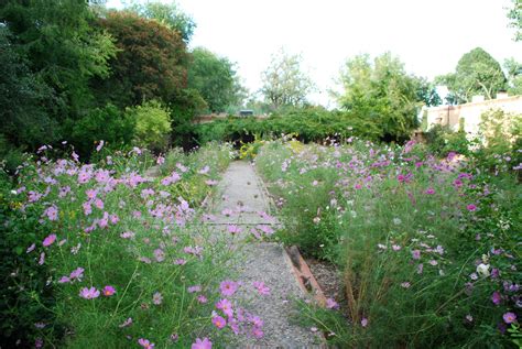 Los Poblanos Lavender Farm - Cornelia McNamara Flowers