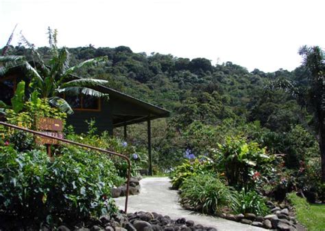 Monteverde Cloud Forest Lodge - Tour Operators Costa Rica