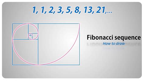 Fibonacci spiral explained - Wasedu