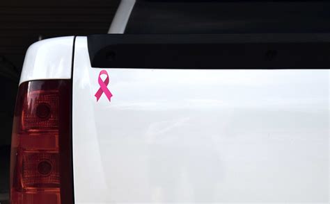 StickerTalk Pink Breast Cancer Awareness Ribbon Vinyl Stickers, 1 sheet ...