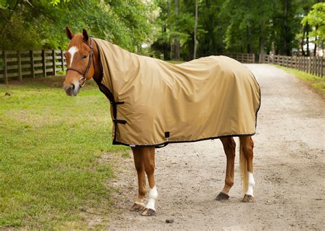 Rain Sheet with Extended Neck - Integrity Linens