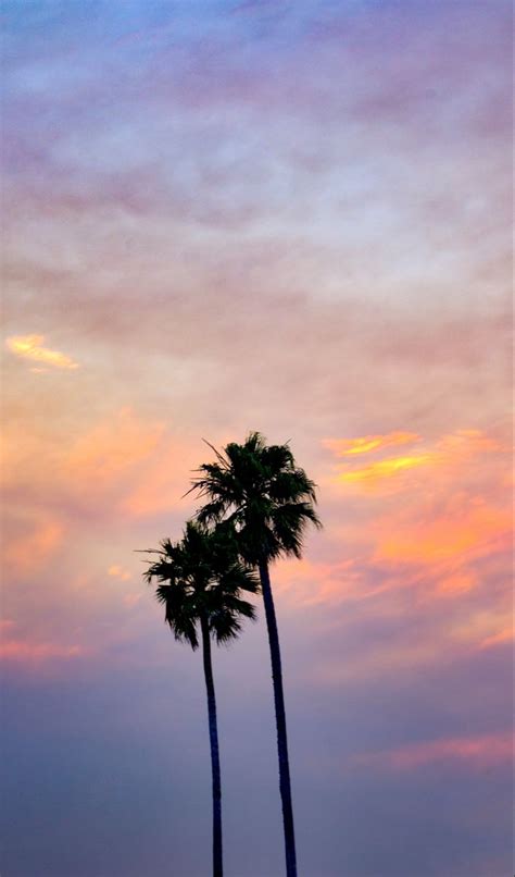 California Sunset iPhone Wallpaper | Palm trees wallpaper, California ...