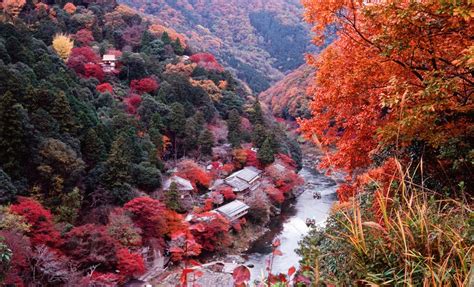 Entranced by the Autumn Colors of Kyoto