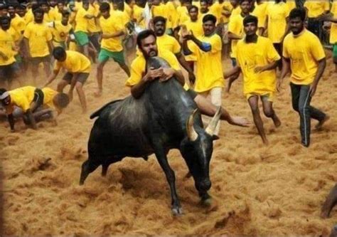 Tamil Nadu: Shocking caste-based violence over Jallikattu in Trichy