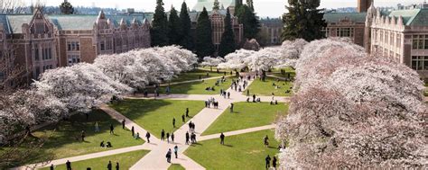 UW spring quarter classes will be held remotely (Message from President Cauce) | Student Life