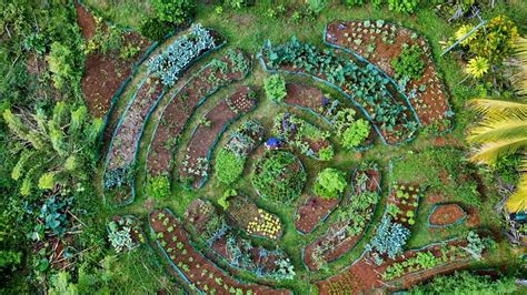 Permaculture Mandala Garden Design | Fasci Garden