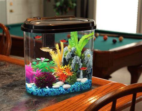 35 Modern Mini Aquarium Designs For Your Small Spaces | HomeMydesign