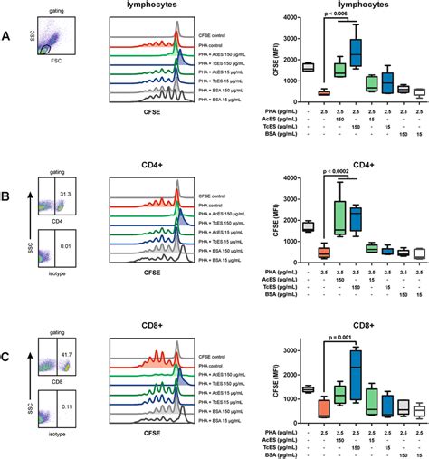 T cell proliferation assay. Cultivating CFSE-stained PBMCs in the... | Download Scientific Diagram