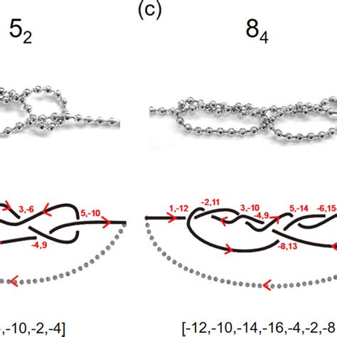 Identification of knot types (a) 3 1 , (b) 5 2 , (c) 8 4 , and (d) 10 ...