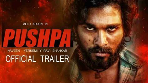 Pushpa Full Movie Download in Hindi Dubbed Filmyzilla, Filmywap, Filmyhit, Filmymeet: HD, 1080p ...