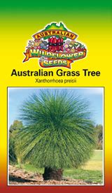 Australian Grass Tree - Australian Wildflower Seeds