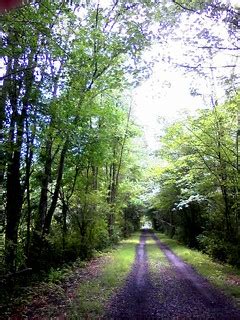 New Paltz Rail Trail | I actually took this photo with my ph… | Flickr