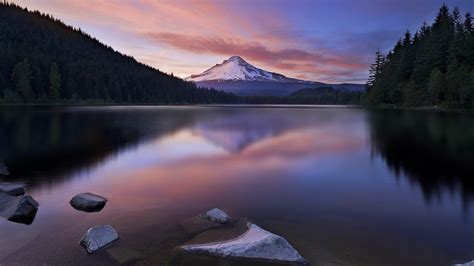 Green reflection in the peaceful lake HD desktop wallpaper : Widescreen ...