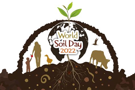 Get ready for World Soil Day 2022! - HoliSoils