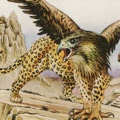 Gryphon Gallery | Warriors Of Myth Wiki | FANDOM powered by Wikia