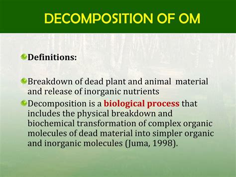 PPT - ORGANIC MATTER DECOMPOSITION PowerPoint Presentation, free ...