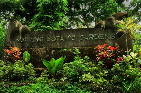 Makiling Botanic Gardens | Los banos, Botanical gardens, Botanical