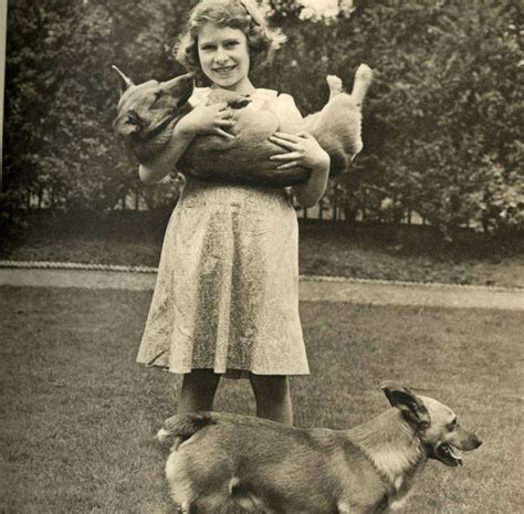 Queen Elizabeth II's Royal Pembroke Welsh Corgis