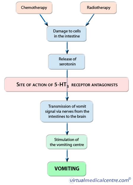 Serotonin receptor agonists; 5-HT Agonists; 5-Hydroxytryptamine Agonists; Serotonin Agonists