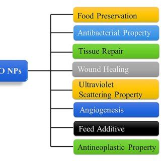 Schematic diagram of common applications of ZnO NP. ZnO, zinc oxide ...