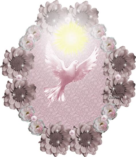a pink and white bird surrounded by flowers on a black background with the sun in the middle
